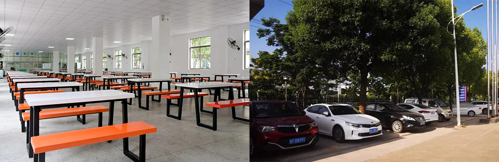 середовище проживання